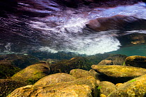 Underwater view of River Glaslyn rapids, Snowdonia NP, Gwynedd, Wales, UK, April
