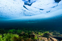 Underwater view of a mountain lake with frozen surface, Llyn Idwal, Snowdonia NP, Gwynedd, Wales, UK, December