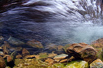 Underwater view of a rapidly flowing mountain stream, Snowdonia NP, Gwynedd, Wales, UK, November