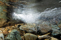 An underwater view of a mountain stream, showing water turbulence, Snowdonia NP, Gwynedd, Wales, UK, December