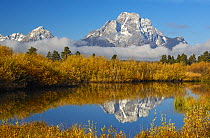 Mountain reflected in Jackson Lake, Grand Teton National Park, Wyoming, USA, September 2006