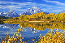 Oxbow Bend of the Snake River with the Grand Tetons on the horizon, Grand Teton National Park, Wyoming, USA, September 2006
