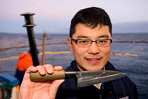 Japanese tuna expert with traditional cutting knife to evaluate fish quality by a cut at the base of the tail, Southern bluefin tuna (Thunnus maccoyi) in fish farm, MFE Tuna farming, Port Lincoln, Sou...