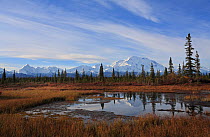 Mount McKinley (Alaska Range) seen from the Bar Trail, Wonder Lake camp area, Denali National Park, Alaska, USA, September 2009