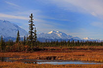 Alaska Range across the swampy Bar River valley with Kahiltna Dome (3,818m) and Mount Crosson (3,901m) in centre, with Mount McKinley (left) and Mount Russell (3,557m) on the right, Wonder Lake camp a...