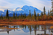 Mount McKinley from the Bar Trail, Wonder Lake camp area, Denali National Park, Alaska, USA, September 2009
