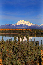 Wrangell Mountains in Saint Elias National Park seen across Willow Lake surrounded by mixed spruce-birch forest, Richardson Highway, Alaska, USA, September 2009