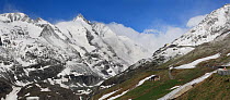 Mount Grossglockner (3,798m) Hohe Tauern National Park, Austria, May 2009