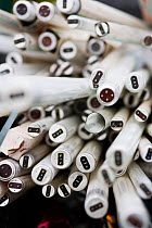 Close up of fluorescent light tubes being recycled at a recycling centre, Stroud, Gloucestershire, UK, February 2008.