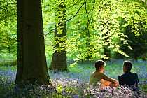 A couple relaxing amongst bluebells (Hyacinthoides non-scripta) in springtime woodland, Upper Soudley, Forest of Dean, Gloucestershire, May.