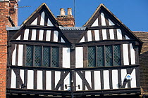 Tudor timber frame building, Tewkesbury Town Centre, Gloucestershire, July 2008.