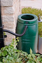 Water butt next to house wall for harvesting rainwater, September 2008.