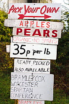 Pick your own fruit information signs for organc apples and pears, Forest of Dean, Gloucestershire, November 2008.