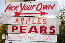 Pick your own fruit information signs for organc apples and pears, Forest of Dean, Gloucestershire, November 2008.