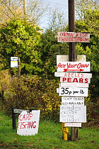 Pick your own fruit information signs for organc apples and pears along road next to bus stop, Forest of Dean, Gloucestershire, November 2008,