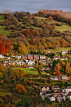 Housing and autumnal countryside, Stroud, Gloucestershire, UK, November 2008.