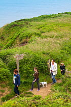 Walkers with a small dog on the Pembrokeshire Coast Path, Wales, UK, June 2009.