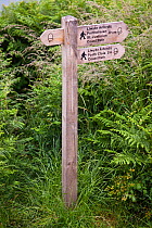 Coast Path information sign to Port Clais and St Justinian, Pembrokeshire, Wales, UK, June 2009.