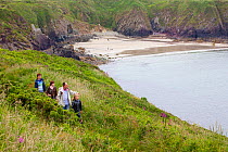 Walkers on the Pembrokeshire Coast Path, Caerfai Bay, Wales, UK, June 2009.