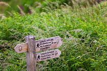 Pembrokeshire Coast Path information sign, direction to Port Clais and St Justinian, Wales, UK, June 2009.