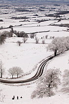 Winter countryside scene after snowfall from the Cotswold Way National Trail, Coaley Peak, Gloucestershire, UK, January 2010.