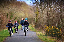 Group of cyclists on The Tarka Trail cycle path, Devon, UK, March 2010.