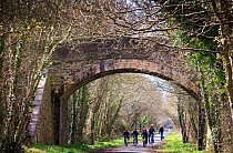 Group of cyclists on The Tarka Trail cycle path near bridge, Devon, UK, March 2010.
