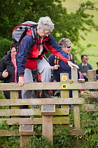 Woman climbing over a wooden stile during the Walking Festival 2011, Tewkesbury, Gloucestershire, UK, May 2011.