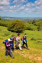 Walkers on Winchcombe Way during the Walking Festival 2011, Tewkesbury, Gloucestershire, UK, May 2011.