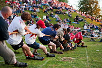 Men pulling on a rope in a tug of war competition, Cotswold Olimpicks, Chipping Campden, Gloucestershire, June 2011.