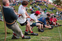 Men pulling on a rope in a tug of war competition, Cotswold Olimpicks, Chipping Campden, Gloucestershire, June 2011.