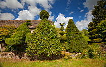 Topiary outside country cottage, Eastleach, Gloucestershire, UK, June 2011.