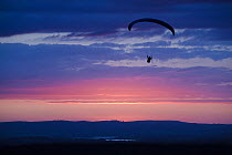 Paraglider in sky at sunset over Selsley Common, Stroud, Gloucestershire, UK, June 2011.