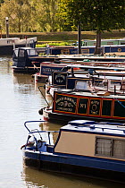 Canal boats moored up at the Tewkesbury Marina, Gloucestershire, UK, June 2011.