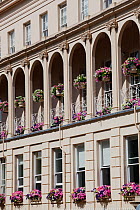 Floral displays - window boxes and hanging baskets - outside the Municipal Offices, The Promenade, Cheltenham, Gloucestershire, UK, July 2011.