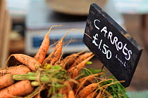 Carrots (Daucus carota) with for sale information sign at Cirencester Farmers Market, Cirencester, Gloucestershire, UK, July 2011.