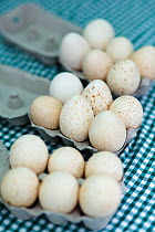 Goose eggs in boxes on a blue checked tablecloth, Cirencester Farmers Market, Cirencester, Gloucestershire, UK, July 2011.
