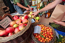 Man serving hand picked heritage apples at Stroud Farmers Market, Stroud, Gloucestershire, UK, August 2011.