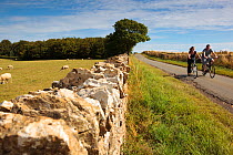 Couple cycling down road in the Cotswolds at Guiting Power, Gloucestershire, UK, August 2011.