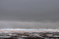 Storm clouds above partially frozen tundra, Taimyr Peninsula, Siberia, Russia, June 2010