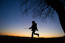 Young girl playing on edge of woodland, silhouetted against the sky, Norfolk, January 2012 Model released. Did you know? Children who spend more time playing outside are less likely to develop short-s...