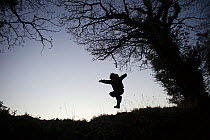 Young child playing on edge of woodland, silhouetted against the sky, Norfolk, January 2011 Model released