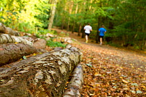 Men jogging along a path through woodland, with logs in the foreground, Beacon Hill Country Park, The National Forest, Leicestershire, UK, October 2011