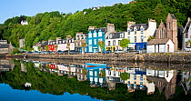 Painted houses along the sea front, Tobermory, Isle of Mull, Inner Hebrides, Scotland, UK, June 2010