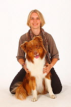 Australian Shepherd, red-tri, sitting in front of woman with tongue out. Model released