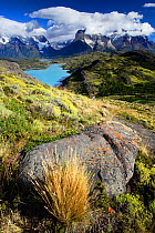 Pehoe Lake and the mountains of Torres del Paine from the Condor viewpoint, Torres del Paine National Park, Patagonia, Chile
