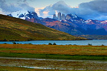 Torres del Paine from Laguna Azul, Torres del Paine National Park, Patagonia, Chile