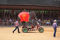 Indian elephant (Elephas maximus) riding motor bike at show in Thailand Zoo
