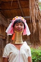 Long necked woman with many neck rings belonging to Padaung Tribe, Thailand