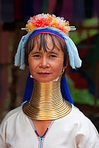 Long necked woman with many neck rings belonging to Padaung Tribe, Thailand